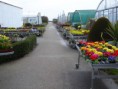 /album/galerie-de-photos-diaporama-des-entreprises-horticoles/entree-2-jpg/